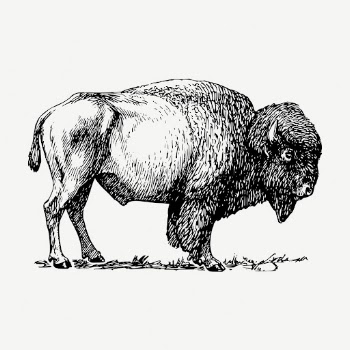 Bison, wild animal collage element, | Free PSD - rawpixel