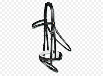 Bit, Bridle, Filet, Musical Instrument Accessory PNG