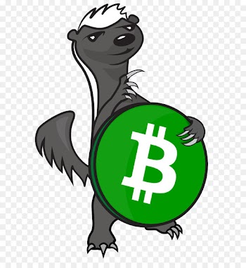 Bitcoin Cash Bitcoin.com Image Money - bitcoin 