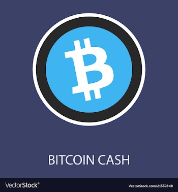 Bitcoin cash icon cryptocurrency with huge market vector image
