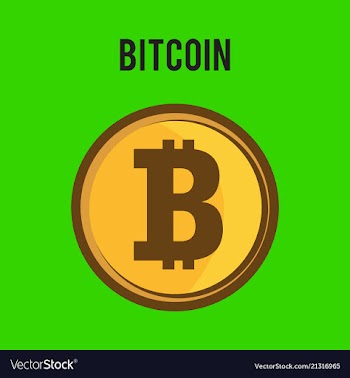 Bitcoin physical bit coin digital currency vector image