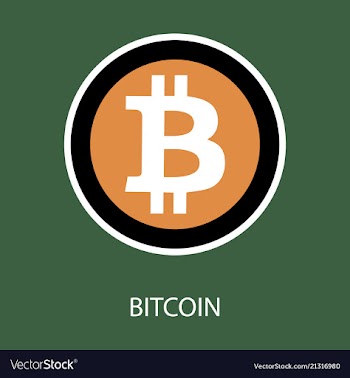 Bitcoin physical bit coin digital currency vector image
