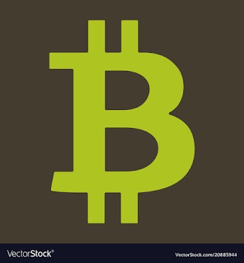 Bitcoin sign icon for internet money crypto vector image