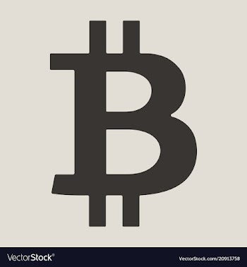 Bitcoin sign icon for internet money crypto vector image