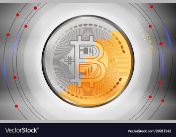 Bitcoin surface metal scene vector image