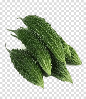 Bitter melon Gourd bitterness Cucurbitaceae Vegetable, vegetable transparent background PNG clipart