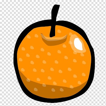 Bitter orange Open graphics, orange transparent background PNG clipart