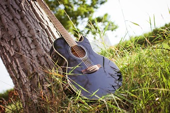 Black Acoustic Cutaway Guitar on Tree