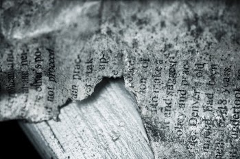 Black &amp; White Torn Book Free Photo 