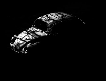 Black &amp; White Volkswagen Beetle Free Photo 