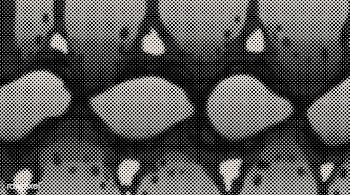 Black and beige halftone background vector | Free stock vector - 542564