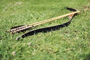 Black and Brown Bow on Grass Field during Daytime