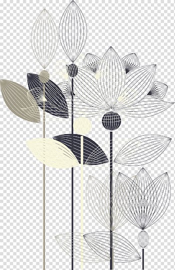Black and brown flowers , Black and white, Hand-painted black and white lotus transparent background PNG clipart