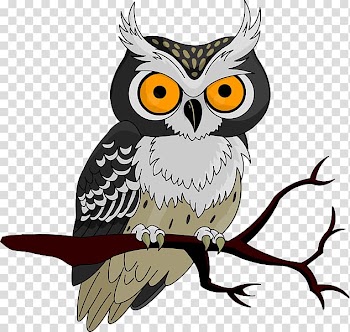 Black and brown owl illustration, Owls to Athens Halloween Jack-o'-lantern , Owl transparent background PNG clipart