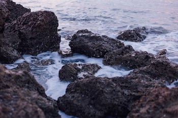 Black and Brown Rocks on Sea during Daylight