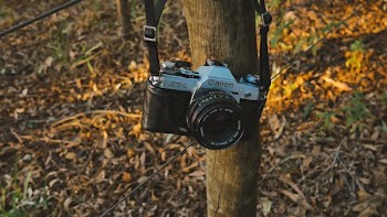 black and gray Canon SLR camera hanged on wooden trunk