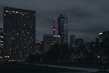 black and gray city buildings