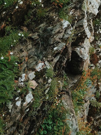 Black and Gray Rock Formation Close-up Photography