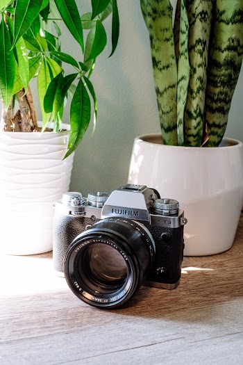 Black and Grey Fujifilm Dslr Camera Beside White Potted Snake Plant