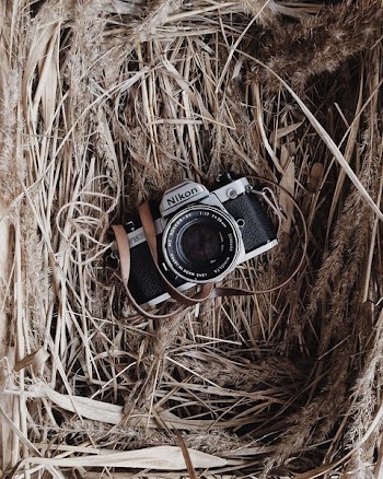 Black and Grey Nikon Camera in Brown Nest