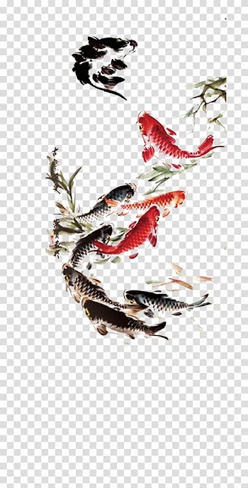 Black and orange koi fish illustration, Koi Carassius auratus Ink wash painting Drawing, Ink fish transparent background PNG clipart