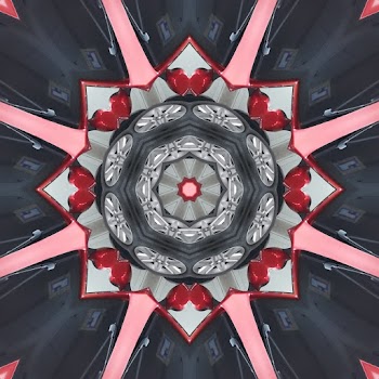 Black and Pink Kaledio Image