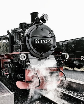 Black and Pink Train