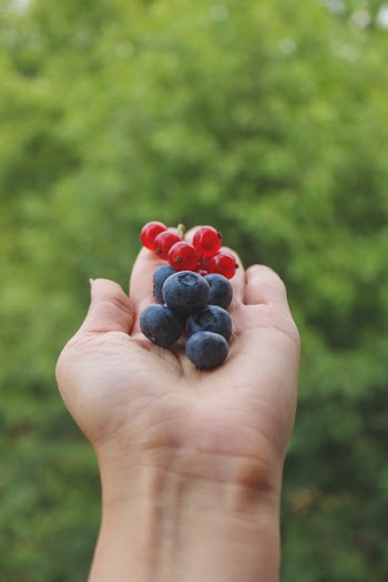 Black and Red Berries