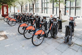 Black and Red Bikes Parked Under Trees