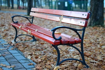 Black and Red Park Bench Near Grey Concrete Pathway