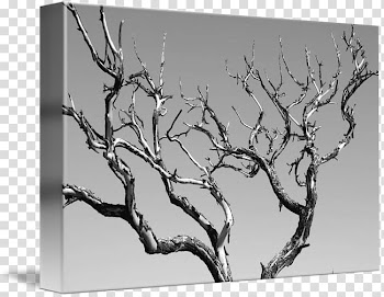 Black and white Abstract art Tree, Tree , black and white Abstract transparent background PNG clipart