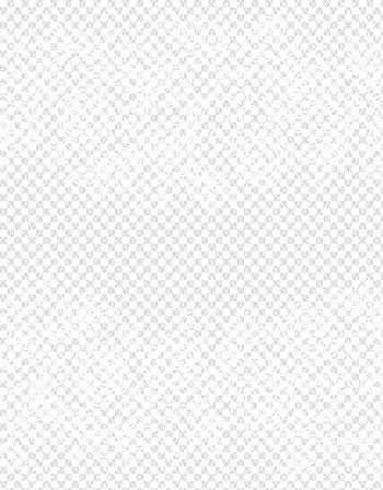 Black and white Angle Point Pattern, Lace with Roses transparent background PNG clipart