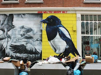 black and white bird graffiti wall surrounded by trash