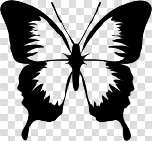 Black And White Butterfly Clip Art at PNGio - vector clip art ...