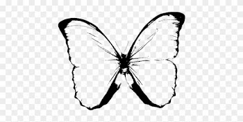 Black And White Butterfly Clipart - Butterfly Png Black And White