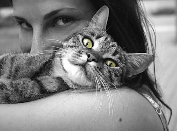 Black and White Cat