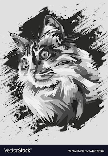black and white cat