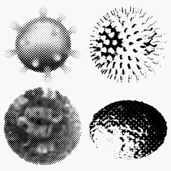 Black and white coronavirus cells under microscope design element set | Free  transparent png - 2319161