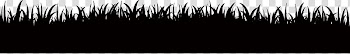 Black and white Darkness Sky , Halloween transparent background PNG clipart