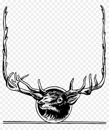 Black And White Deer Animal Free Black White Clipart - Deer Frame Png