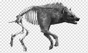 Black and white Drawing Painting Art Illustration, Simple black and white boar illustration transparent background PNG clipart