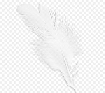 Black and white Feather Wing Pattern - White feathers 