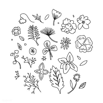 Black and white floral leaf illustration | Free stock vector - 472044
