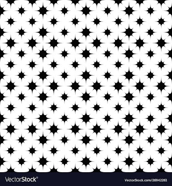 Black and white geometrical curved star pattern vector image