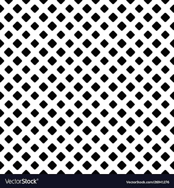 Black and white geometrical square pattern vector image