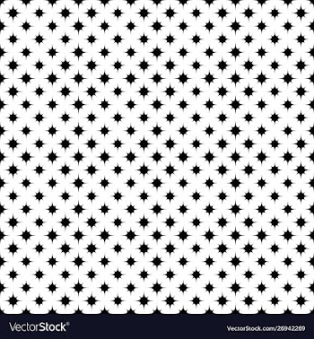 Black and white geometrical star pattern vector image