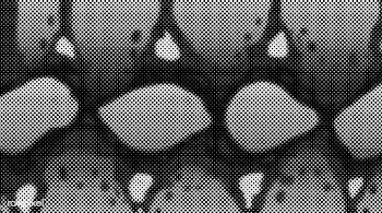 Black and white halftone background vector | Free stock vector - 542550