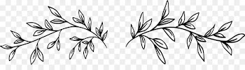 Black and white - Hand-painted leaves flower vine 