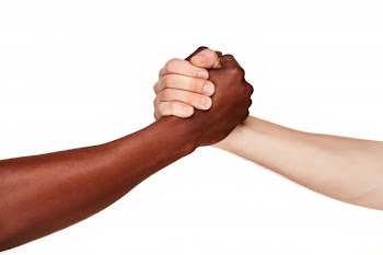 Black and white hands doing handshake Free Photo
