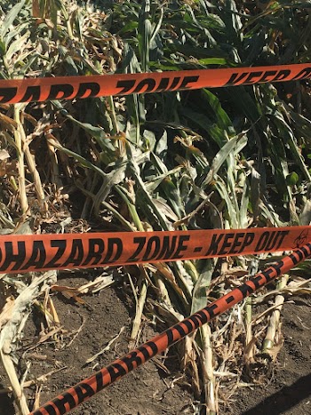 Black and White Hazard Zone Tape